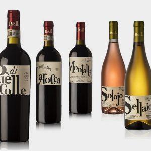 "Piè di Colle" azienda vinicola - vini toscani Chianti DOCG e IGP 27